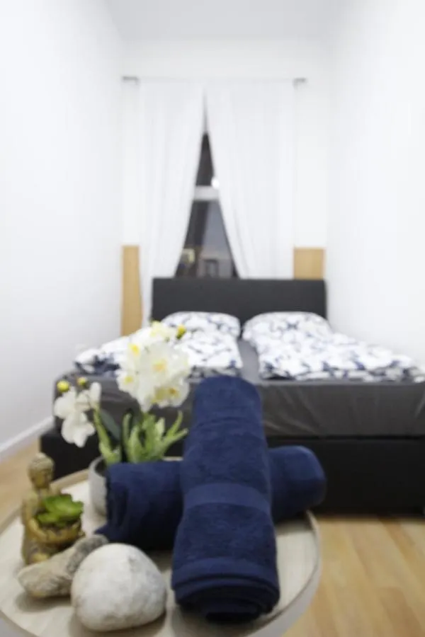 Appartement Premier Double Room Th B Vienne